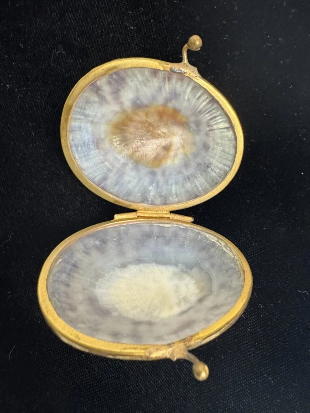 Shell trinket box with brass rim